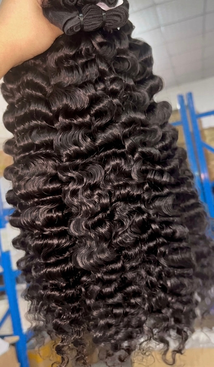 Burmese curly